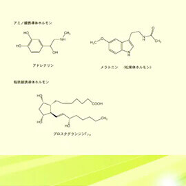 共生システム理工学類　模擬講義③（物質・エネルギー科学分野　高安　徹）